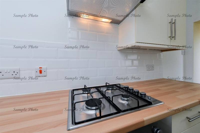 11145154 1479388279026913 123118859096375365 N