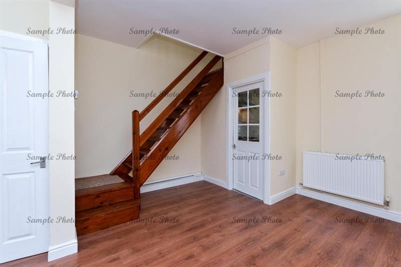 11817171 1479388185693589 1879425003364959423 N