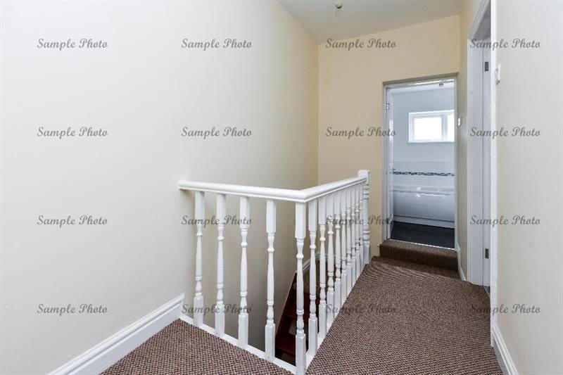 11824934 1479388419026899 1823863200070244321 N