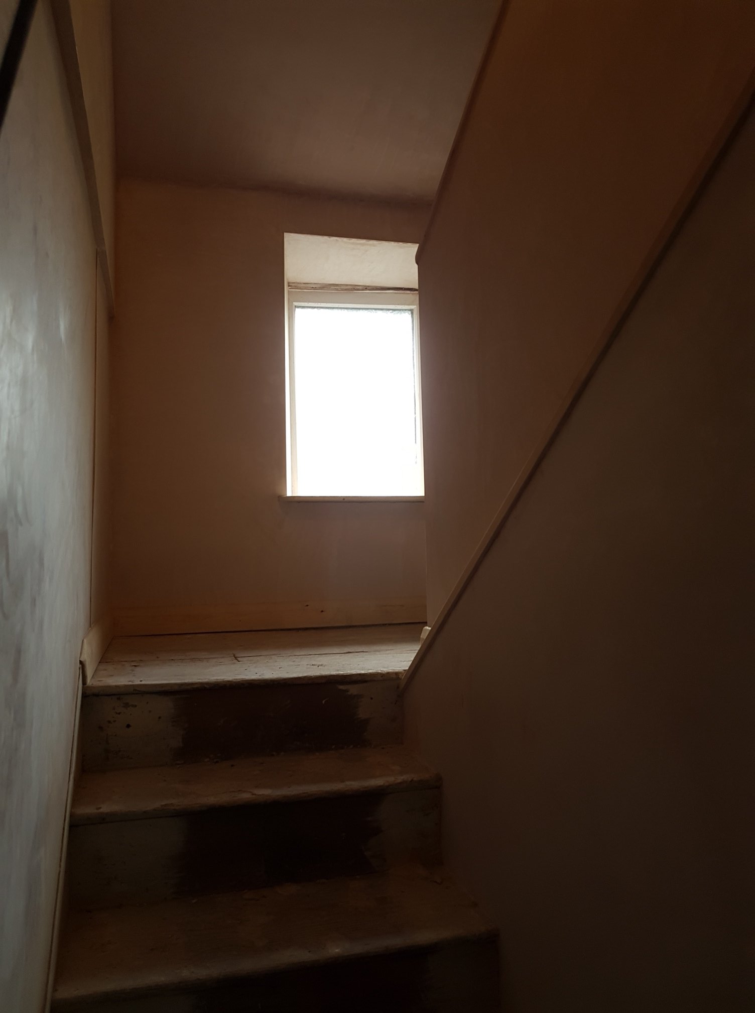 29750111 1835254280106976 253327984190787506 O