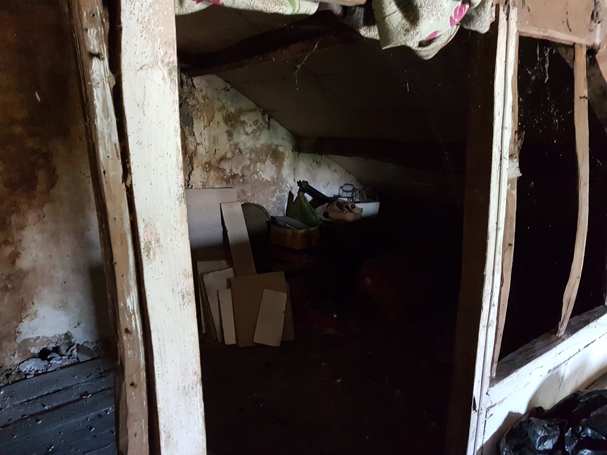 29744257 1835256733440064 473126490353393735 O