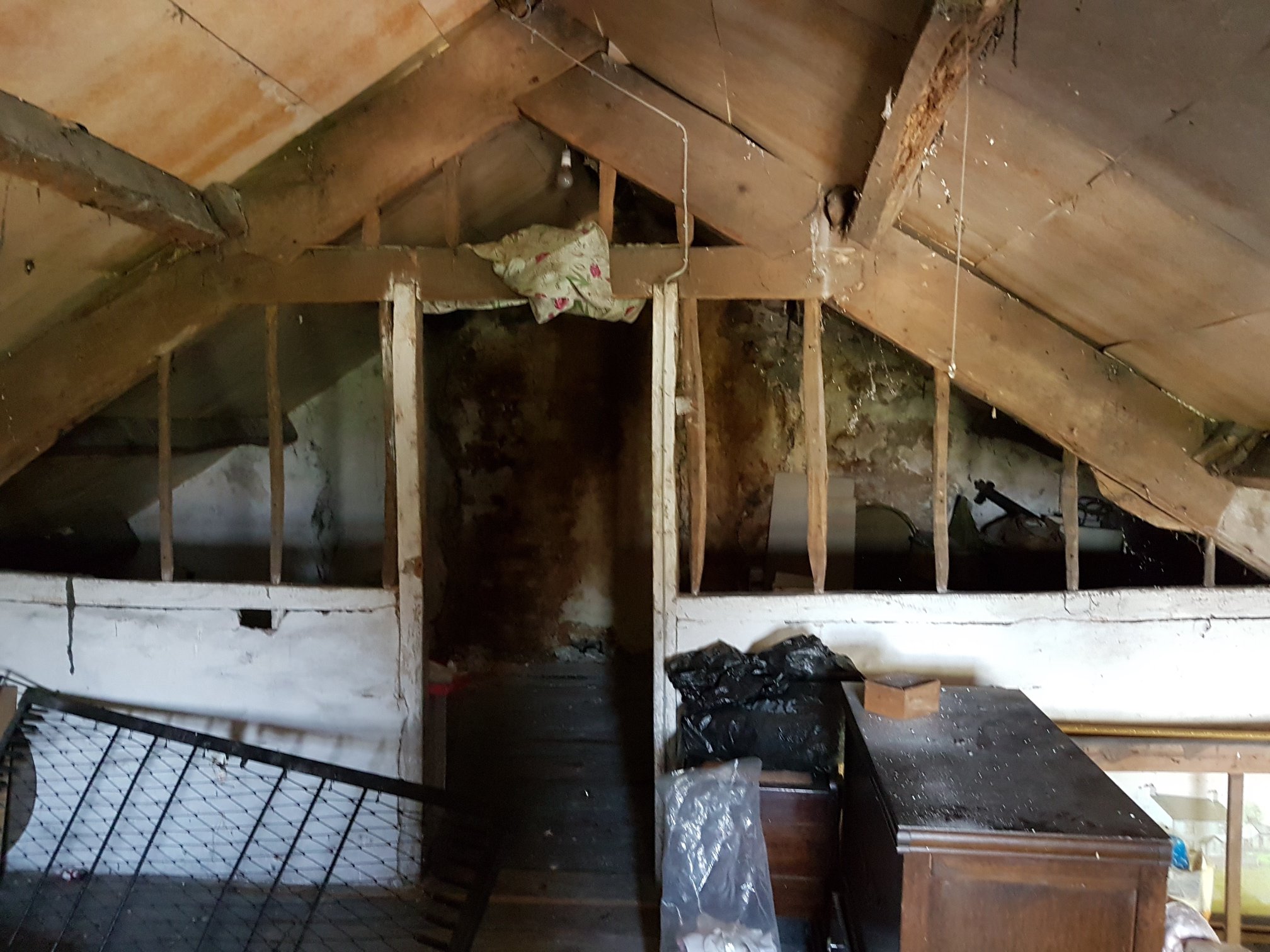 29873175 1835256706773400 9167550979908725426 O