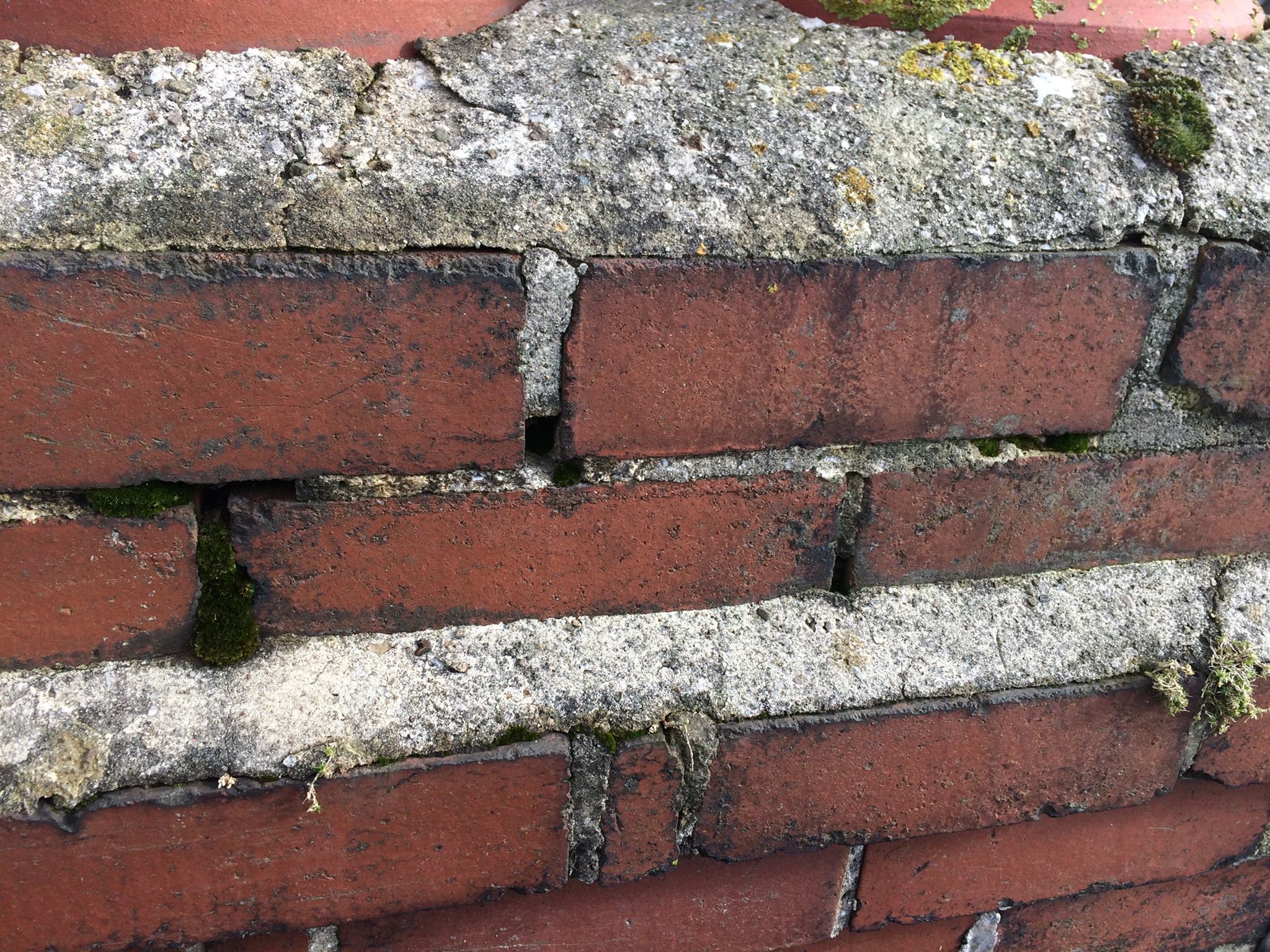 13244069 1572167373082336 724212811748250475 O