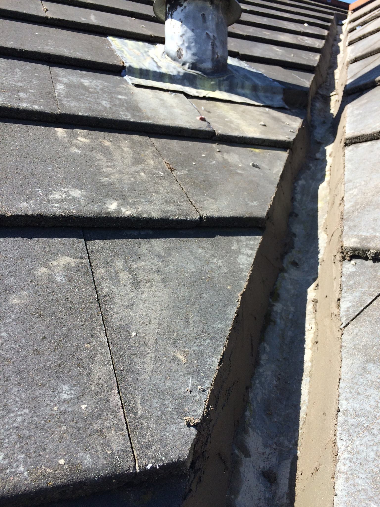 13248389 1572169003082173 6930220251318178011 O