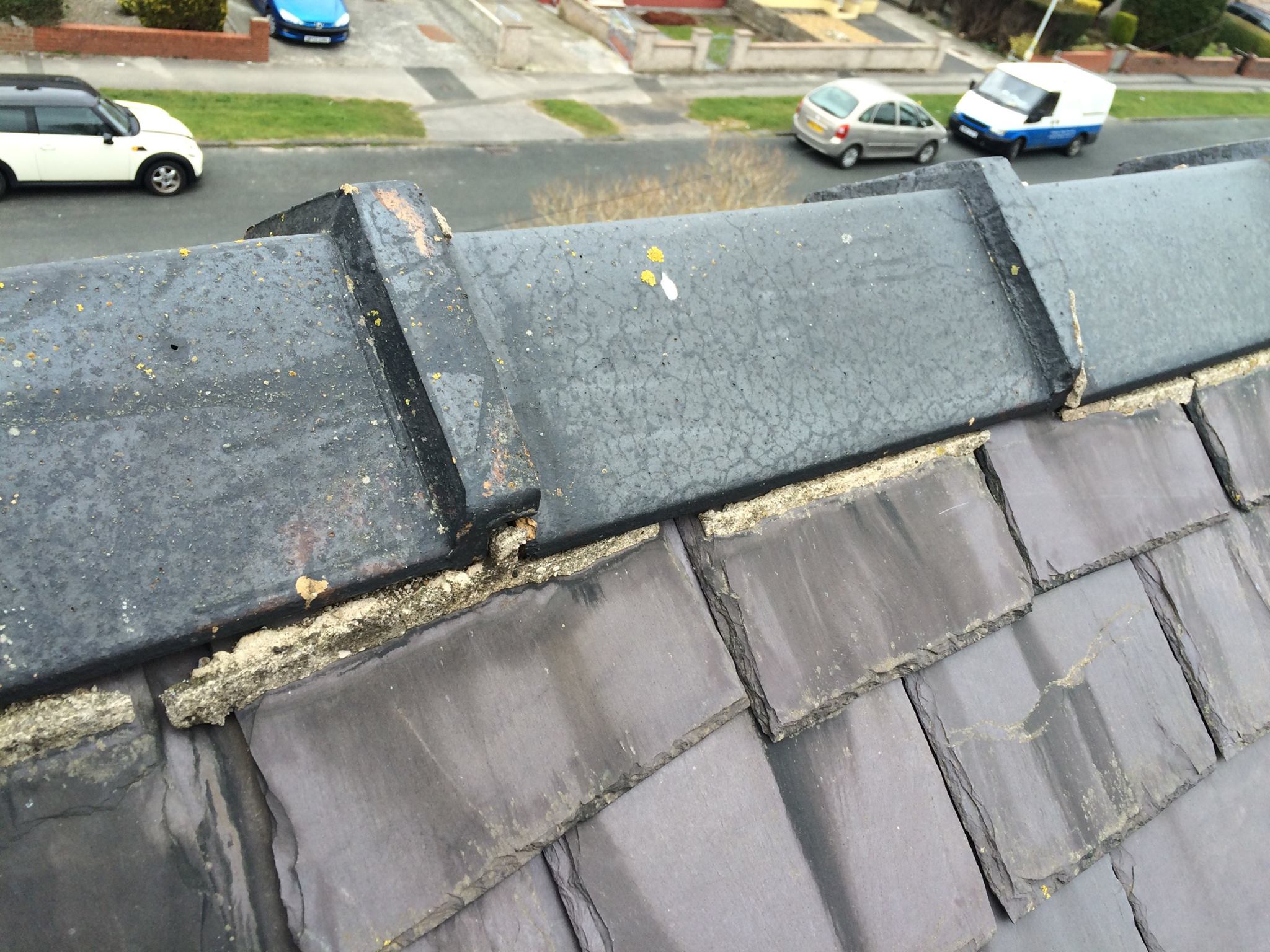 13268440 1572166196415787 522708183989828837 O